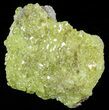 Lemon-Yellow Sulfur Crystals - Bolivia #51587-2